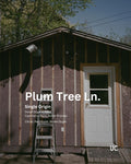 Plum Tree Ln. - Decaf